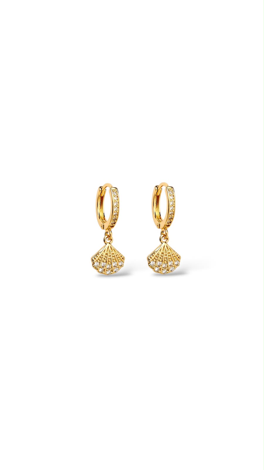 Argollas pequeñas con conchita